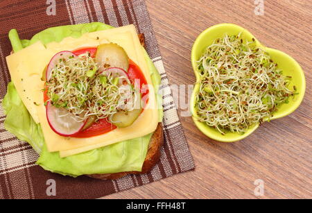 Frisch zubereitete vegetarische Sandwich und grüne Schale mit Luzerne und Radieschen Sprossen auf Holztisch liegend, Stockfoto