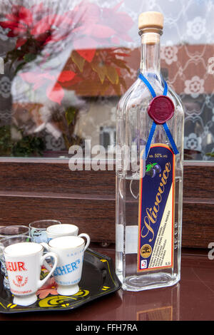 Flaschen Alkohol auf Karneval, tschechischen Dorf Stockfoto