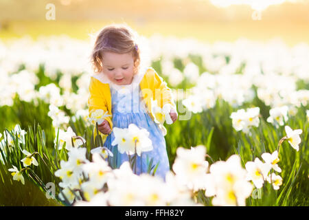 Kleinkind Mädchen spielen in Narzisse Blumenfeld. Kind im Garten. Kind im Garten Blumen zu pflücken. Stockfoto