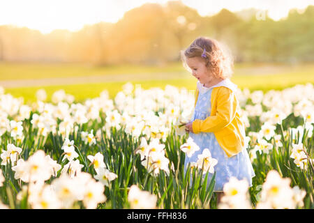 Kleinkind Mädchen spielen in Narzisse Blumenfeld. Kind im Garten. Kind im Garten Blumen zu pflücken. Stockfoto