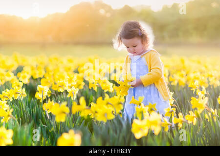 Kleinkind Mädchen spielen in Narzisse Blumenfeld. Kind im Garten. Kind im Garten Blumen zu pflücken. Stockfoto