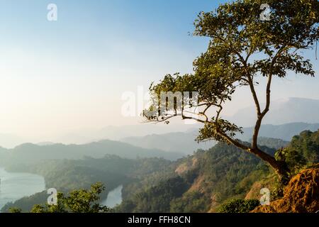 Blick über Ponmudi Reservoir und sanften Hügeln, Munnar. Stockfoto