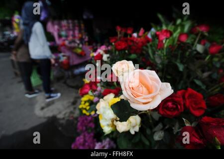 Surabaya, Indonesien. 14. Februar 2016. Indonesier suchen während Valentinstag Rosen auf eine traditionelle Blumenmarkt. Rosen, Pralinen, Teddybären, Hello Kitty, Herz Spielzeug, Kerzen und Karten sind alle Teile des Valentines Tages und Bestellungen erhöhen deutlich in den Wochen vor dem Valentinstag am 14. Februar gefeiert. Bildnachweis: Robertus Pudyanto/Pacific Press/Alamy Live-Nachrichten Stockfoto