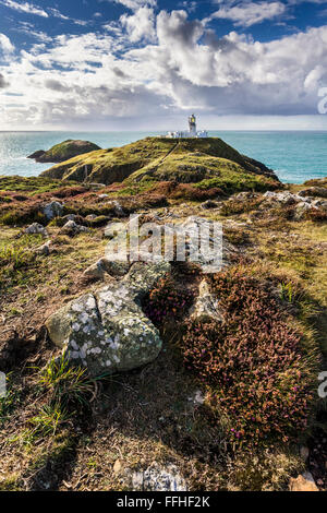 Strumble Head Leuchtturm in Pembrokeshire, Wales UK an einem sonnigen Herbsttag. Stockfoto