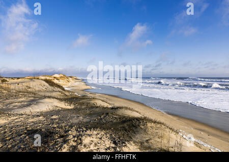 Unberührten Strand entlang Cape Hatteras National Seashore, Outer Banks, North Carolina, USA Stockfoto