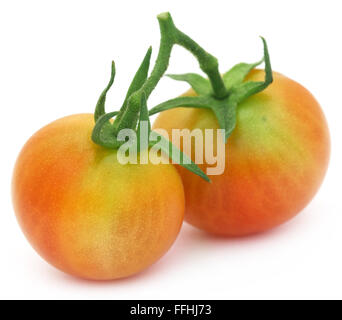 Zwei frische Tomaten auf weißem Hintergrund Stockfoto