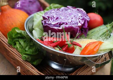 Eine Sommerernte, Gemüse in einer Weidenbox. Stockfoto