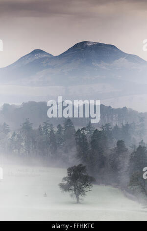 Der Nebel steigt über den Fluss Tweed an Scott's View mit dem Eildon Hills im Hintergrund. Der schottischen Grenzland. Stockfoto