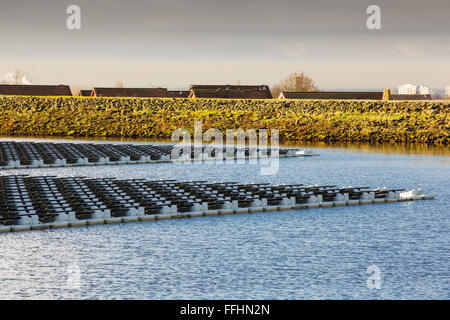 Die neue schwimmende solare Farm als Raster verbunden Godley Reservoir in Hyde, Manchester, UK. Das Schema ist ein 3-MW-System, bestehend aus 10.000 Photovoltaik-Paneele. Es wird United Utilities Stromrechnung auf der Kläranlage vor Ort, rund 7.000 £ pro Monat einsparen. Es ist die größte schwimmende solar Farm in Europa und der zweitgrößte in der Welt. Es liefert rund 33 % der Wasseraufbereitung Energiebedarf Pflanzen. Stockfoto