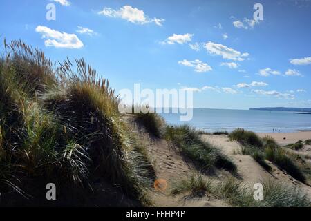 grasbewachsenen Sanddünen und eine glitzernde Meer in Camber Sands in Sussex, England, UK Stockfoto