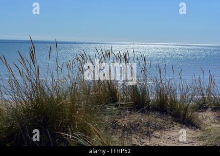 grasbewachsenen Sanddünen und eine glitzernde Meer in Camber Sands in Sussex, England, UK Stockfoto