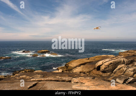Jakobsweg, Jacobean Route. Muxia, A Coruña. Steinen der Punta De La Barca. St. James Weg, St. James St. James Stockfoto