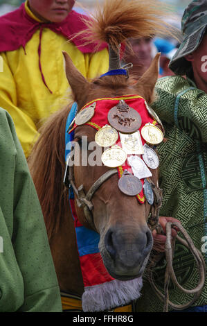 Mongolei, Tsetserleg Naadam-fest, der Sieger des Rennens Pferde Stockfoto