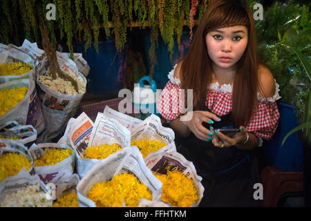 Frau Verkäufer von Gänseblümchen Blumen in Pak Khlong Talat, Blumenmarkt, Bangkok, Thailand. Pak Khlong Talat ist ein Markt in Bangko Stockfoto