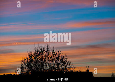 London UK 14. Februar 2016 Wetter: atemberaubende Himmel während des Sonnenuntergangs über London am Valentinstag Credit: Dinendra Haria/Alamy Live News Stockfoto