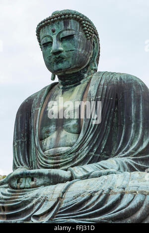 Der große Buddha (Daibutsu) aus Gründen der Kotokuin-Tempel in Kamakura, Japan. Stockfoto