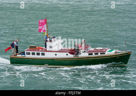 Green Parrot auf Americas Cup, VIP-Zuschauer-Aufgaben. Stockfoto