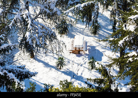 Erhöhte Ansicht von hölzernen Picknicktisch und Bäumen fallenden Schnee im Wald an einem Wintertag Stockfoto