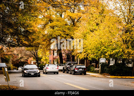 Farben des Herbstes, East Washington Street, Middleburg, Virginia Stockfoto