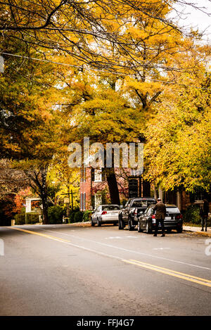 Farben des Herbstes, East Washington Street, Middleburg, Virginia Stockfoto