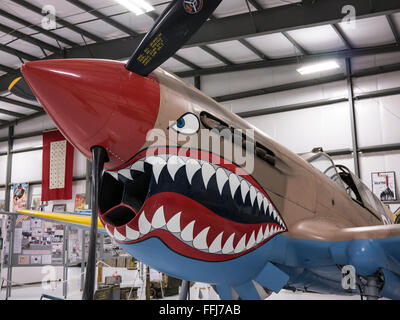 Curtiss P-40E Kittyhawk Flugzeug, Warhawk-Luft-Museum, Nampa, Idaho. Stockfoto