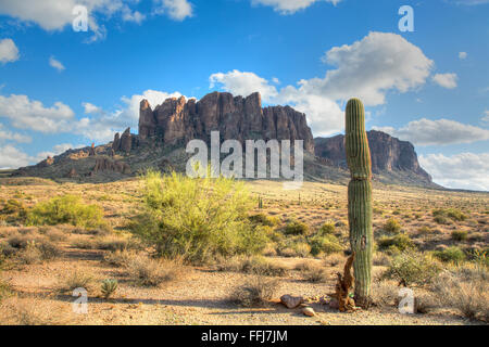Famous Superstition Mountain in Arizona, umrahmt von einem einsamen Saguaro-Kaktus zeigt die Schönheit dieses trockenen Wüstenlandschaft. Stockfoto