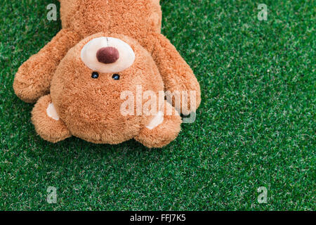 Niedliche Teddybären auf grünen Rasen Hintergrund Stockfoto