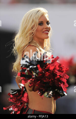 17. November 2013 - Tampa, FL, Vereinigte Staaten von Amerika - Tampa Bay Buccaneers Cheerleader bei den Bucs 41-28 Sieg gegen die aAtlanta Falken im Raymond James Stadium am 17. November 2013 in Tampa, Florida.  . ZUMA PRESS / Scott A. Miller (Kredit-Bild: © Scott A. Miller über ZUMA Draht) Stockfoto