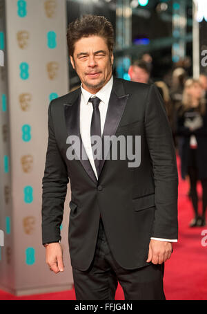 London, UK. 14. Februar 2016. Schauspieler Benicio del Toro kommt bei den EE British Academy Film Awards, BAFTA Awards, am Royal Opera House in London, England, im 14. Februar 2016. Bildnachweis: Dpa picture Alliance/Alamy Live News Stockfoto