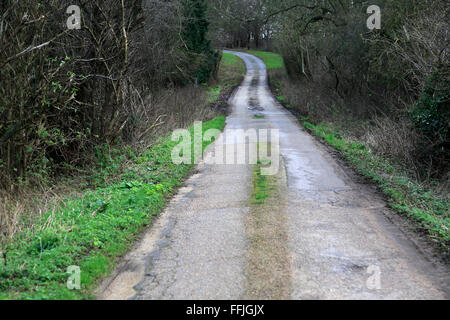 Lange schmale kurvenreiche asphaltierte Landstraße im Winter Sutton, Suffolk, England, UK Stockfoto