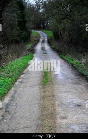 Lange schmale kurvenreiche asphaltierte Landstraße im Winter Sutton, Suffolk, England, UK Stockfoto