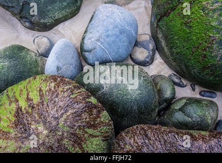 Meer Küste Felsen Steinen Kieselsteine abstrakte St. kilda Stockfoto