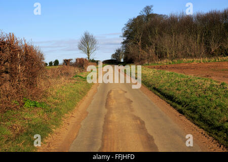 Lange, schmale gerade Asphalt land Straße im Winter Ramsholt, Suffolk, England, Großbritannien Stockfoto