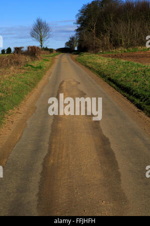 Lange, schmale gerade Asphalt land Straße im Winter Ramsholt, Suffolk, England, Großbritannien Stockfoto