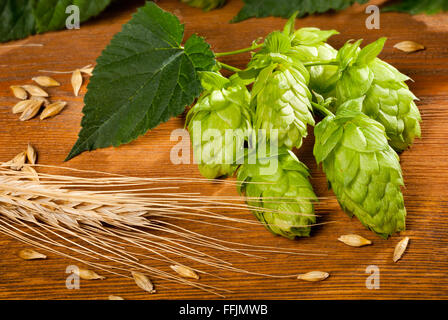 Detail der Hopfenzapfen und Gerste auf dem Schreibtisch aus Holz Stockfoto