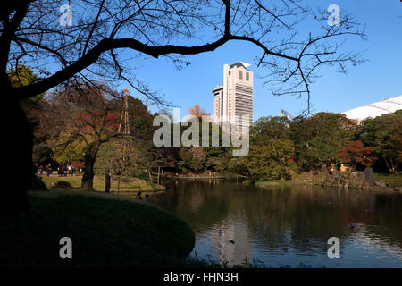 Koishikawa Korakuen Garten, Tokio, Japan. Stadtpark in Herbst-Saison, Herbst Laub auf den Bäumen. Japanische Kultur, Natur, Landschaft Stockfoto