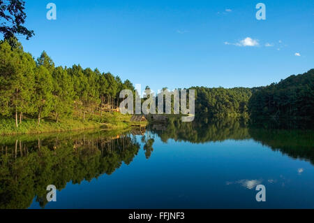 Pang Oung, Reflexion der Kiefer in einem See, Mae Hong Son Thailand. Stockfoto