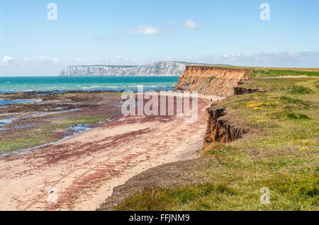 Küstenlandschaft zwischen Freshwater Bay und Crompton Bay an der Südküste der Isle of Wight, England Stockfoto