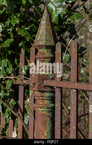 Nahaufnahme von rostigen Eisengitter in Abington Park, Northampton. Stockfoto