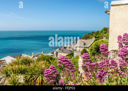 Blick über Ventnor, Isle of Wight, Südengland Stockfoto