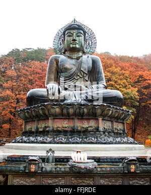 Gangwon-Do, Südkorea - 12. November 2015: Big Buddha Denkmal des Sinheungsa-Tempels im Seoraksan Nationalpark Sokcho, South K Stockfoto