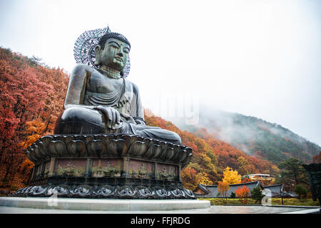 Big Buddha Denkmal des Sinheungsa-Tempels im Seoraksan Nationalpark, Sokcho, Südkorea Stockfoto