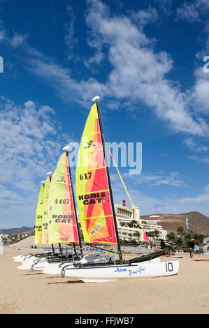 Hobie Cats gestrandet auf dem Sand in Morro Jable, Fuerteventura, Kanarische Inseln, Spanien Stockfoto
