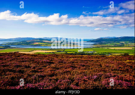 Lough Swilly und Zoll-Insel von Grianan von Aileagh, Donegal Stockfoto