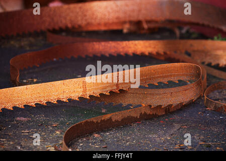 Eine rostige alte Sägeblatt aus einer industriellen Bandsäge. Diese high-Speed-Klinge wurde zum Schneiden von Holz verwendet. Stockfoto