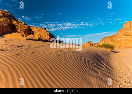 Sinai Wüste Landschaft Stockfoto