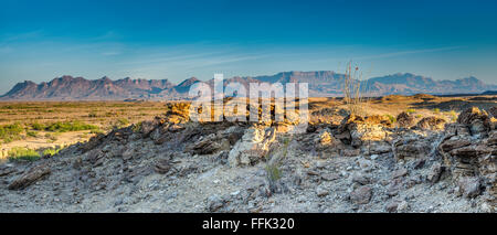 Chisos Berge, Blick auf den Sonnenaufgang in Mariscal, Chihuahuan Wüste, Big Bend National Park, Texas, USA Stockfoto