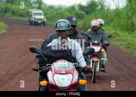 Virunga-Nationalpark, auf der Straße zwischen Goma und Rutshuru, Provinz Nord-Kivu, demokratische Republik Kongo, demokratische Republik Kongo, Zentral-Afrika. Stockfoto