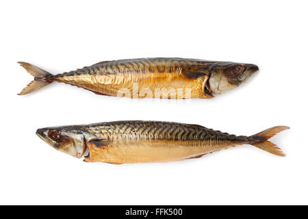 Ganz einzigen frisch gedämpft und geräucherte Makrele Fisch isoliert auf weißem Hintergrund Stockfoto
