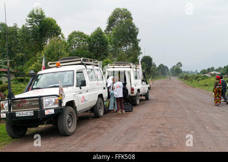 Virunga-Nationalpark, auf der Straße zwischen Goma und Rutshuru, Provinz Nord-Kivu, demokratische Republik Kongo, demokratische Republik Kongo, Zentral-Afrika. Stockfoto